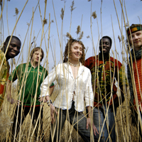 Stilimba